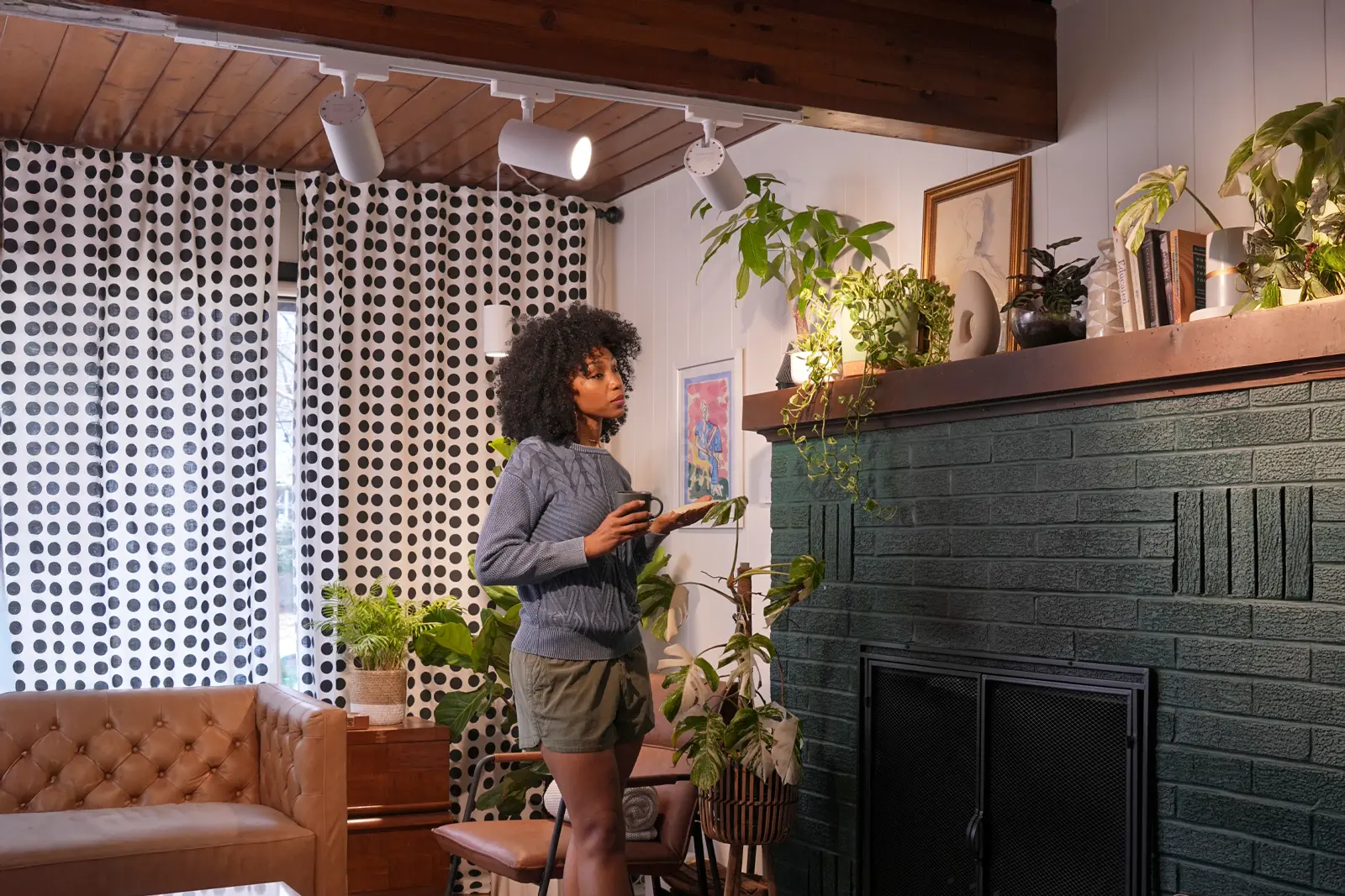 Professional Lighting for Indoor Life